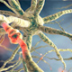 I neurologijos skyrius Neurologijos skyrius